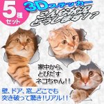 画像1: 3Dネコちゃん突き破りステッカー5種セット (1)