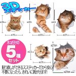 画像5: 3Dネコちゃん突き破りステッカー5種セット (5)