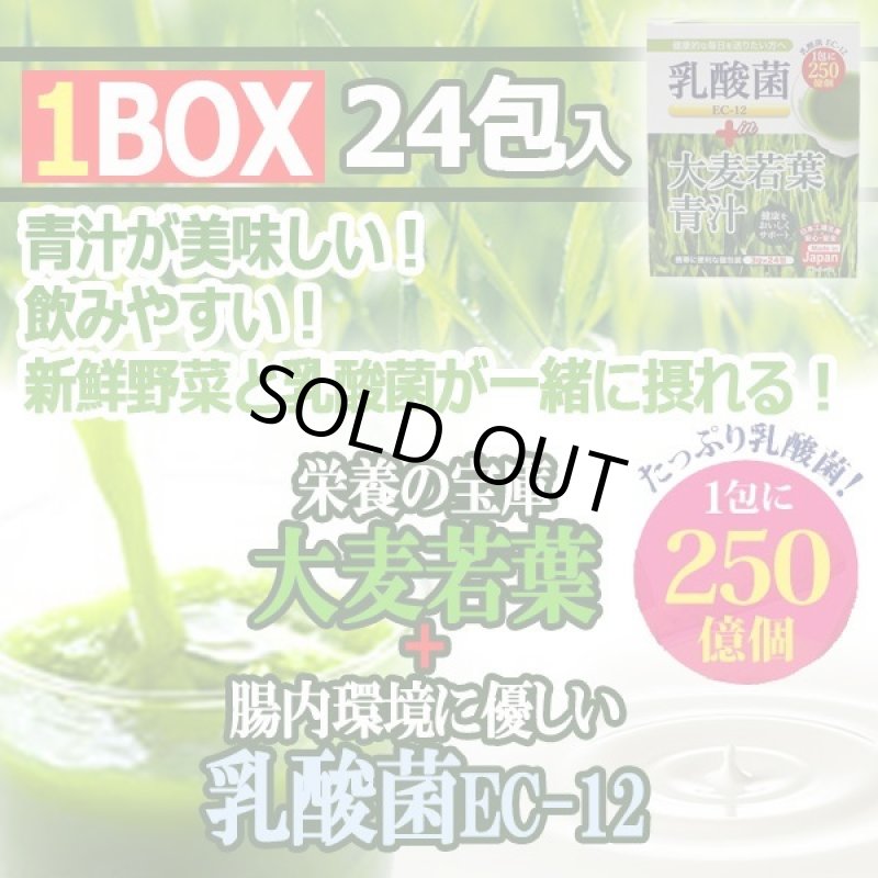 画像1: たっぷり乳酸菌EC-12！大麦若葉青汁1BOX（24包入り） (1)