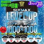 画像1: 筋肉革命RECOVERY!「SIXMAX LEVEL UP[レベルアップ]」3パック (1)