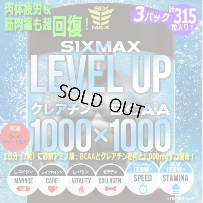 画像1: 筋肉革命RECOVERY!「SIXMAX LEVEL UP[レベルアップ]」3パック (1)