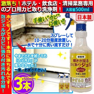 業務用コケカビ取り4L［4m噴射ノズル付］YISM-K12049