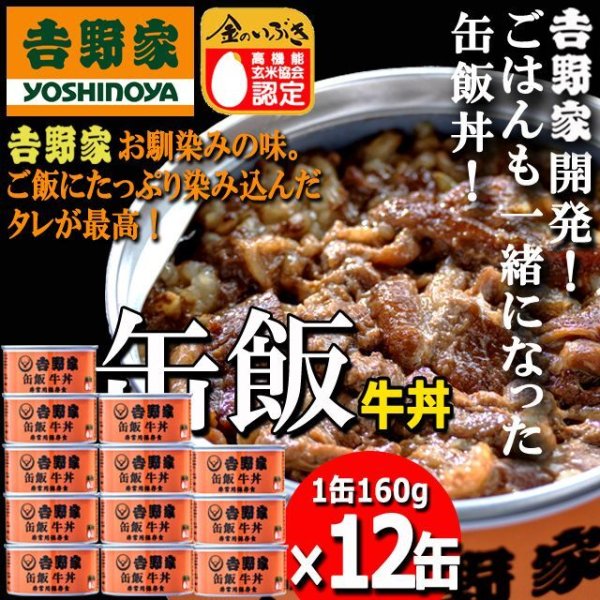 吉野家 缶飯「牛丼160g」12缶セット