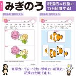 画像8: 七田式・知力ドリル 2・3歳 楽々まとめ買い 10冊セット (8)