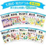 画像1: 七田式・知力ドリル 3・4歳 楽々まとめ買い 10冊セット (1)