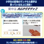 画像3: 送料無料！接触冷感×ハニカムクッションで夏対策ランドセル！ひんやりサラッとランドセルパッド[1点] (3)