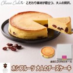 画像1: ホシフルーツ「大人のチーズケーキ」 (1)