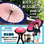 画像6: 送料無料！強風にも耐える24本骨和傘 蛇の目新彩 (6)