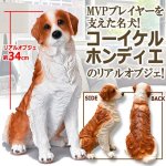 画像1: 親愛なる相棒犬コーイケルホンディエのリアルオブジェ (1)