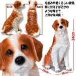 画像4: 親愛なる相棒犬コーイケルホンディエのリアルオブジェ (4)