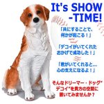 画像5: 親愛なる相棒犬コーイケルホンディエのリアルオブジェ (5)