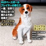 画像3: 親愛なる相棒犬コーイケルホンディエのリアルオブジェ (3)