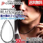 画像1: ハイエンドモデルコンディショニングアクセサリー コアフォースネックプロ[ブラックスピネル50]  (1)