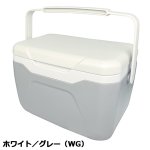 画像9: 手軽に使える大きさがグッド！！「保冷剤付きクーラーボックス4.8L」 (9)