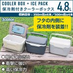 画像1: 手軽に使える大きさがグッド！！「保冷剤付きクーラーボックス4.8L」 (1)