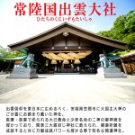 画像2: 送料無料！常陸国出雲大社健康祈願御祈祷済 お薬手帳ケース (2)