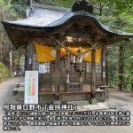 画像4: 金持神社でご祈祷された金運黄金縁起物「巳（へび）」 (4)