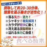 画像2: 爽やかグレープフルーツ味！次世代型健康食品O2食べる酸素ペレットタイプ[500粒] (2)