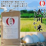 画像1: 山梨県産「武川米 こしひかり」5kg (1)