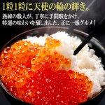 画像3: 送料無料！厳選の味北海道産 天使のいくら特製醤油漬け70g[2本セット] (3)