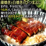 画像2: 送料無料！絶賛うなぎ蒲焼きと白焼きのひつまぶし4食分セット (2)