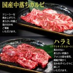 画像5: 送料無料！焼肉専門店熱烈カルビ厳選！焼肉五種セット計500g (5)