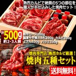 画像1: 送料無料！焼肉専門店熱烈カルビ厳選！焼肉五種セット計500g (1)