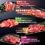 画像3: 送料無料！焼肉専門店熱烈カルビ厳選！焼肉五種セット計500g (3)