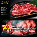 画像6: 送料無料！焼肉専門店熱烈カルビ厳選！焼肉五種セット計500g (6)