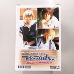 画像4: w-inds. ボトルマスコット1BOX(12個入）セット (4)