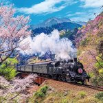 画像4: ジグソー日本の風景「 大井川鐡道と桜」 フレームセット（600P） (4)