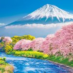 画像3: ジグソー日本の風景「富士と潤井川の桜並木」フレームセット（300P） (3)