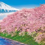 画像4: ジグソー日本の風景「富士と潤井川の桜並木」フレームセット（300P） (4)