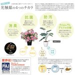 画像3: 光触媒フラワーアレンジ「サンクステイル」(花ギフト,全国発送,母の日,フラワーギフト,造花,空気浄化,抗菌,消臭,アートフラワー) (3)