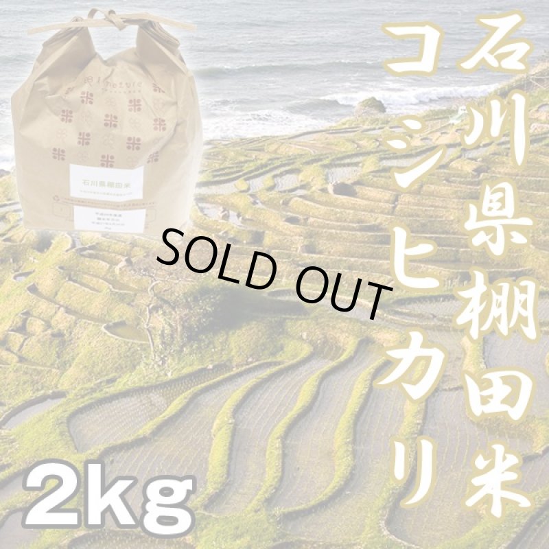 画像1: 石川棚田米コシヒカリ2kg (お米,,こしひかり,新米,お取り寄せブランド米,石川県能登半島,世界農業遺産認定米,受注後精米) (1)