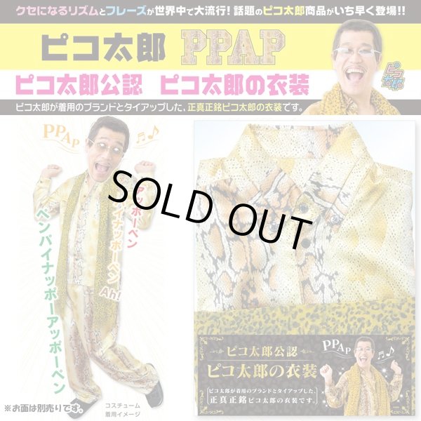 入荷 大人気☆ピコ太郎☆PPAP☆豪華な五点セット☆忘年会☆新年会