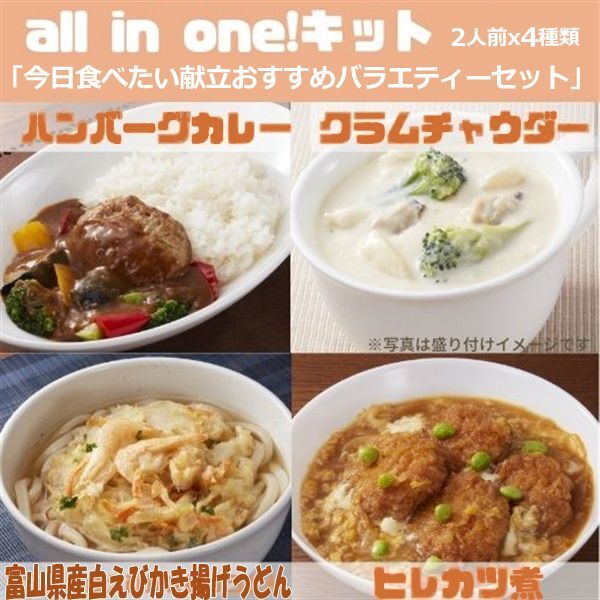 oneキット「今日食べたい献立おすすめバラエティーセット」(2人前x4種）TAI-AIOS　冷凍all　in
