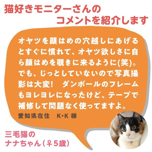 猫の顔はめシート（12柄セット）